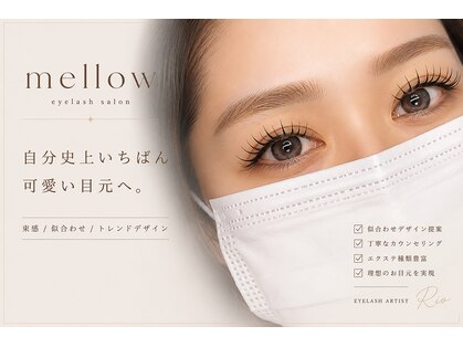 メロー(mellow)の写真