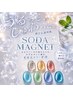 【無くなり次第終了】透明感♪うるしゅわソーダマグネット ￥8500