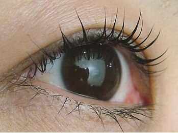 コウ アトリエ(KOH)/まつげパーマ『KOHオリジナル』