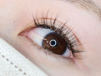 デフィ(De'fi)/シングルラッシュ 100本