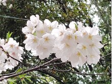 リラクゼーション整体 りめいくの雰囲気（【当月誕生月の方】と【誕生月から6ヶ月の方】限定割引有(._.)）