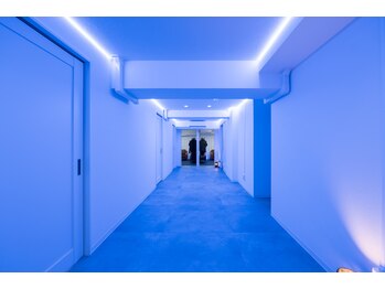 ドナ メア(DANS LA MER)/店内写真