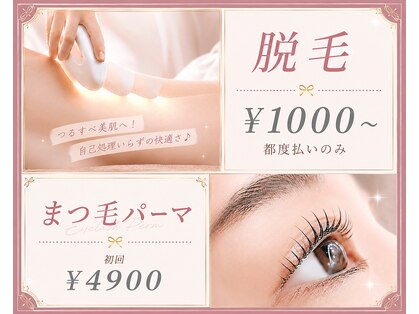 シュシュ(Chouchou)の写真