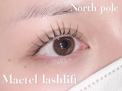 ノースポール(north pole)の写真