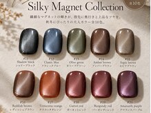 ネイルサロン キュアイスト 府中店(CUREist)の雰囲気（定期的に限定カラーを入れております！）