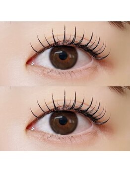 ビビ(BiBi)/フラットラッシュ120本