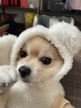 エスペランサ 銀座店&nbsp;愛犬ニコです。