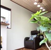 マッシュアップ(mash up)