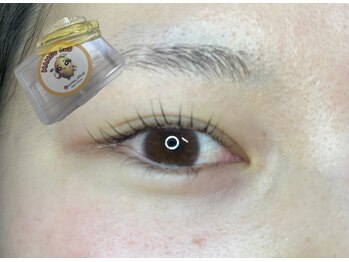 ジール ツーインワン ラッシュ(ZEAL 2in1 LASH)/韓国ロッド/マンゴー