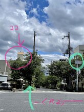 メディスキン 銀座 芦屋店(MEDISKIN)/◆茶屋さくら通りへ