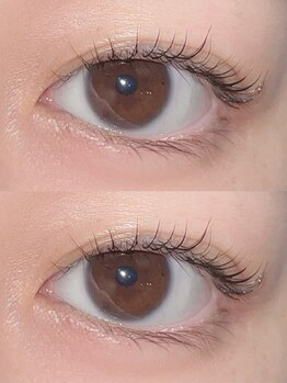 トゥーラッシュ バイ ビーハ(toolash by beha)/まつげパーマ