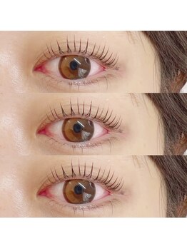 アイラッシュ ベイビーステップ(Eyelash Baby step)/パリジェンヌラッシュリフト