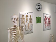 カイロプラクティックセンター 荻窪/サロン内