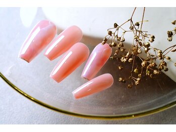 スティエルネ 自由が丘(Stjerne)/トレンド定額