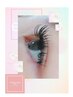 【モチ＆濃さ◎ばっちり！】バインドロック120束(コ-ティング付)¥9200→¥8160