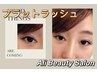 【フラットラッシュ】 100本　♪￥4980 コンーティグ込