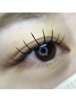 シックドゥホンジョウ(CHIC de Honjo)/フラットラッシュ