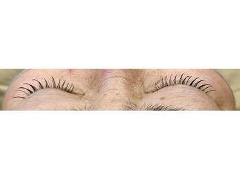 コル(COL.)/フラットラッシュ100本