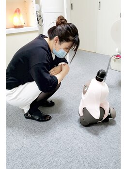 マロウド(malowdo)/名前はマロちゃん!