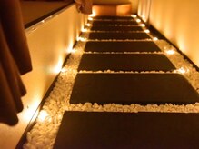 ロータス(Lotus)/