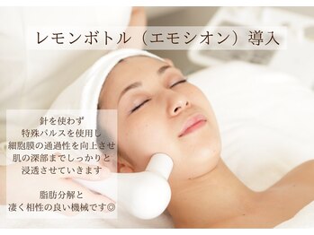 ホリスティックエステ/イーズ ピオレ姫路店/フェイシャルレモンボトル体験-3