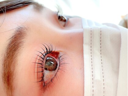 徳島県のまつげエクステ 上下 が人気のまつげサロン 口コミ人気ランキング ホットペッパービューティー 徳島県のまつげエクステ 上下 が人気のまつげサロン 口コミ人気ランキング ホットペッパービューティー