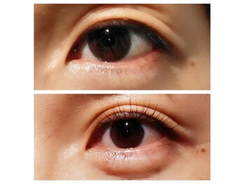 アンドラッシュ アンドネイル 本郷三丁目駅前店(and lash/and nail)/［ラッシュリフト］