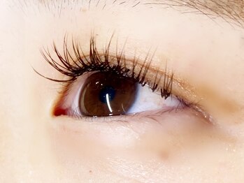 クレー(Klee)/シングルエクステ100本