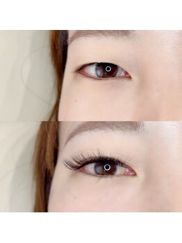 ルピナス(Lupinus)/LEDボリュームラッシュ400本