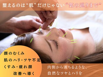 ホール 札幌円山(WHOLE)/からだの中から美しくなる美容鍼
