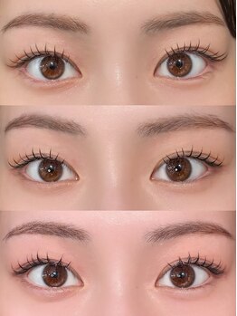 レシェリマ(Lesherima)/マッフルラップ60束