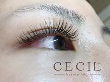 セシルビューティーラボ(CECIL beauty labo)/スーパーフラットラッシュ120本