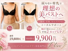 オリーブ 金沢(Olive)