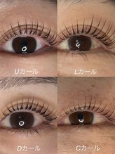 エーラッシュ(A-Lash)/カール比較