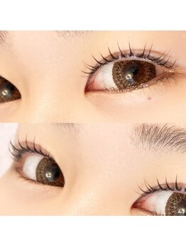 ロール(Roll)/まつ毛パーマ