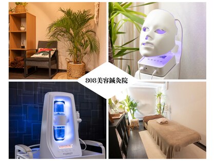 ハチハチ(808)の写真