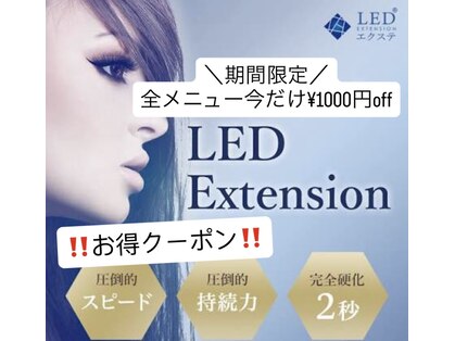 アドリアーナ(ADRIANA)の写真