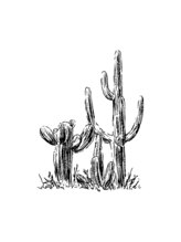 ヒュール 千石(huul) Hiromi