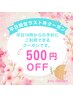 ≪18時以降≫【平日限定】18時以降予約のラスト枠お得クーポン