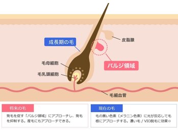 パールプラス 白河店(Pearl plus)/サロンへの通いやすさ