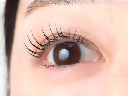 アメリア(Amelia)の写真