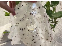 ステッラ(STELLA☆)/ハイドロジェリーマスク