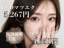 バタフライ 東戸塚店