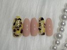 定額Bコース