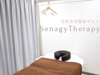 セナジーセラピー(Senagy Therapy)