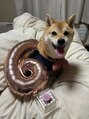 マイスウィートサロン 祗園店(My sweet salon)&nbsp;実家の愛犬です！最高の癒し*￥(^o^)/*