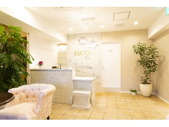 エスコス なんば店/清潔感あふれる店内