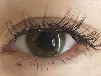 モノ(Mono)/ボリュームラッシュ【ブラウン】