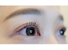 ルピナス(Lupinus)/パリジェンヌラッシュリフト＊