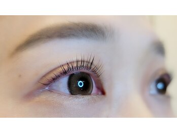 ルピナス(Lupinus)/パリジェンヌラッシュリフト＊